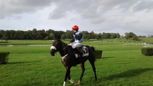 Hippisme : nos préférés pour ce dimanche 3 octobre